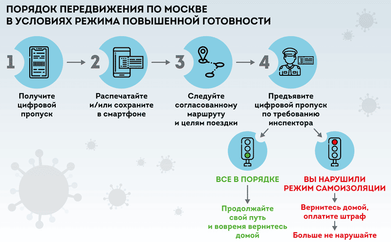 Как передвигаться по Москве и Московской области с цифровым пропуском